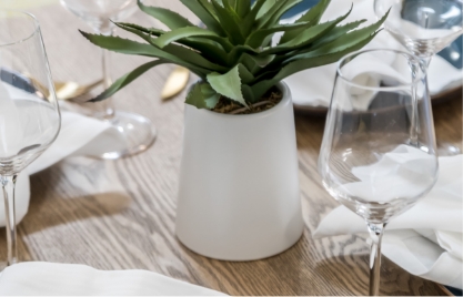 dining table with clear glasses and green plant